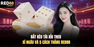 Bắt Kèo Tài Xỉu Theo Xí Ngầu Và 5 Cách Thắng Red88
