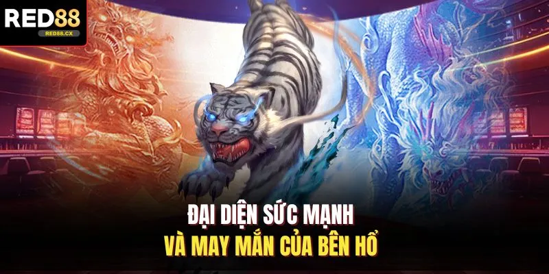 Đại diện sức mạnh và may mắn của bên hổ