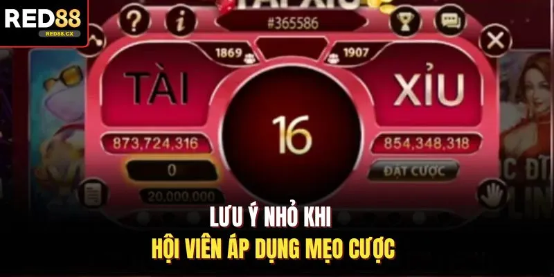 Lưu ý nhỏ khi hội viên áp dụng mẹo cược