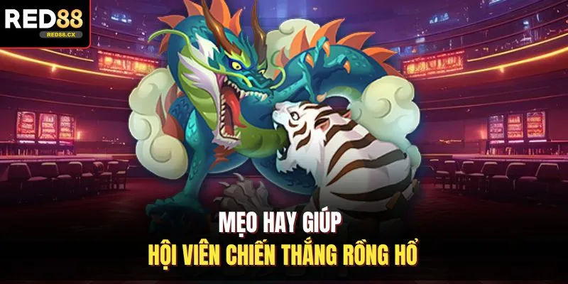 Mẹo hay giúp hội viên chiến thắng rồng hổ