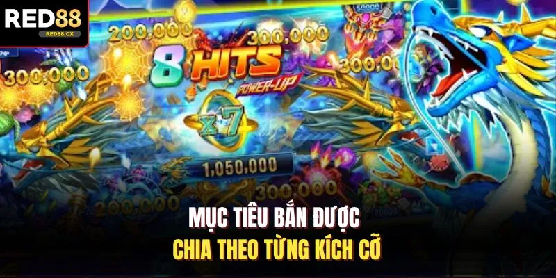 Mục tiêu bắn được chia theo từng kích cỡ