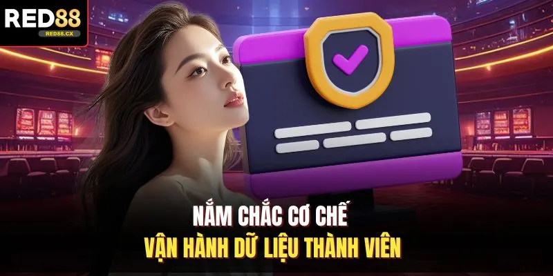 Nắm chắc cơ chế vận hành dữ liệu thành viên