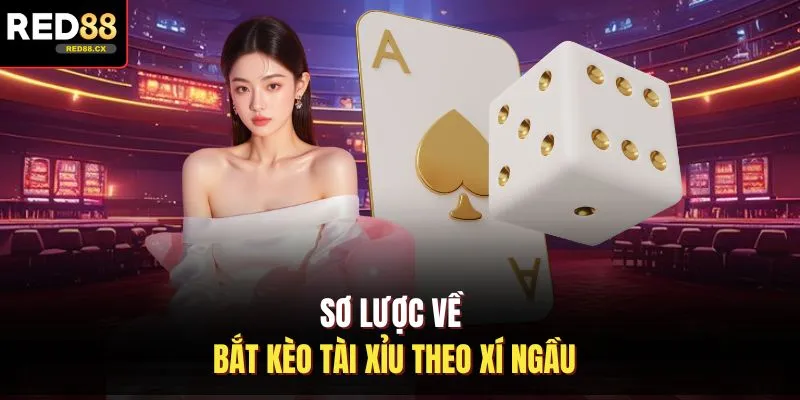 Sơ lược về bắt kèo tài xỉu theo xí ngầu